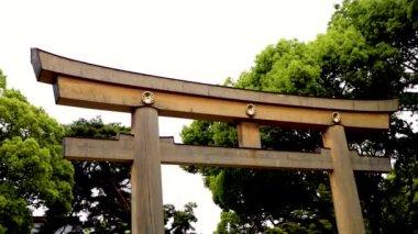 Barselona şehrinin en ünlü simgesi olan kutsal kalbin tapınağı.