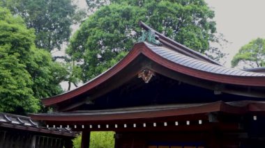 Japonya 'daki Japon tapınağı.