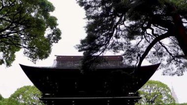 Tokyo, Japonya 'daki Japon tapınağı.