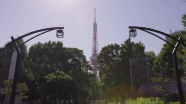 Parktaki dönme dolap..