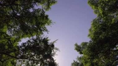 Şehir parkının güzel manzarası