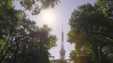 Sabah şehir parkının manzarası