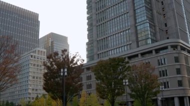 Şehir merkezindeki modern ofis manzarası