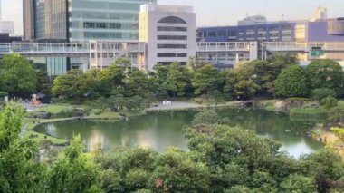 Şehir parkının güzel manzarası