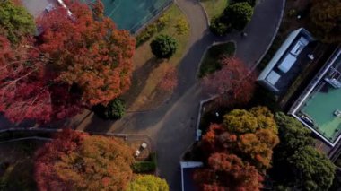 Çin şehrinin güzel manzarası