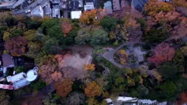 Tokyo şehrin havadan görünümü