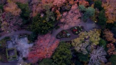 Şehirdeki sonbahar parkı