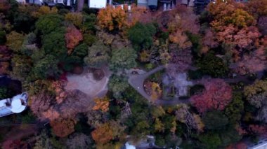 Renkli ağaçlar ve yapraklarla dolu sonbahar manzarası