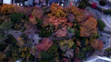 New York şehrinin havadan görünüşü