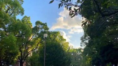 Parkın güzel manzarası