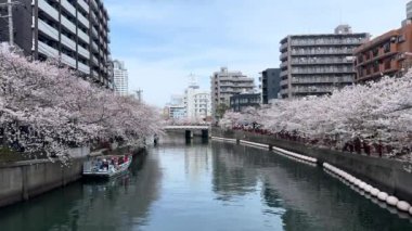 New York şehrinin manzarası