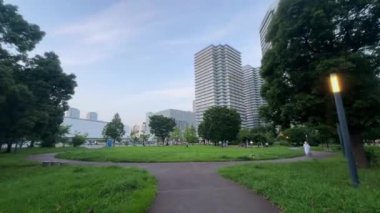 Sabahları parkın manzarası.