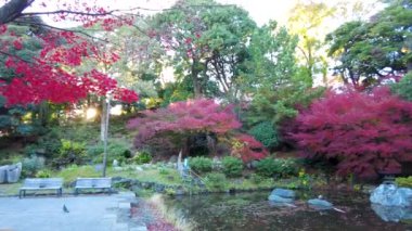Sonbahar: Kyoto, Japan
