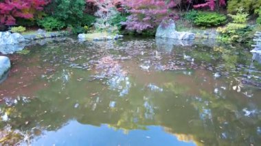 Parkın güzel manzarası