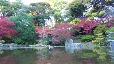 Tokyo Japonya 'da sonbahar.