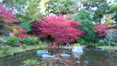 Ağaçlar ve yapraklarla dolu güzel sonbahar manzarası