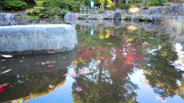 Ağaçlar ve yapraklarla dolu güzel sonbahar manzarası