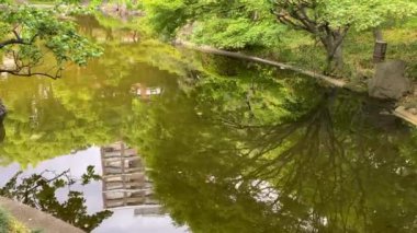 Parkın güzel manzarası