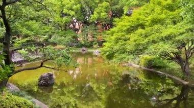 Parkın güzel manzarası