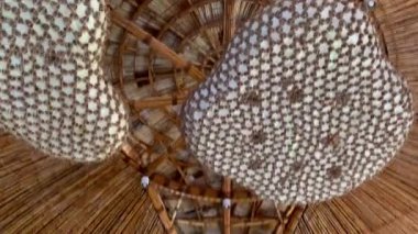 Parkın güzel manzarası