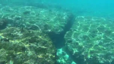 Kızıl denizdeki mercan kayalıkları.