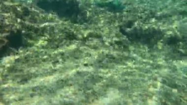Deniz ve kayaların sualtı görüntüsü
