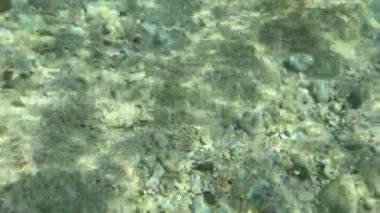 Su altı manzarası çok güzel.