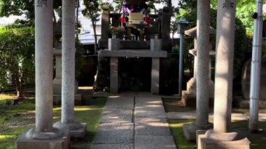 Parktaki güzel Buda heykelinin yakın plan fotoğrafı.