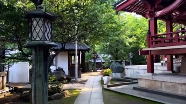 Parkın güzel manzarası