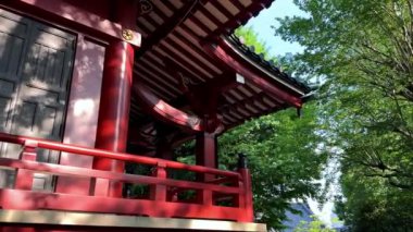 Parktaki güzel Çin tapınağı