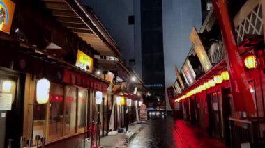 Yeni yılın gece manzarası.