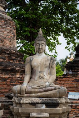 Tayland 'daki Ayutthaya tarihi parkındaki Mahao Tapınağı' ndaki Buda heykeli. yüksek kaliteli fotoğraf