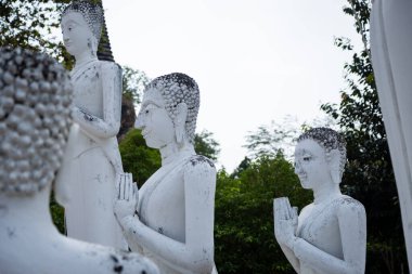 Chiang Mai 'deki Doi kkkmai' den ne haber?