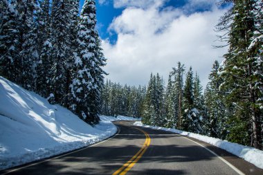 Arka planda ağaçlarla kaplı kar manzaralı dağlar.
