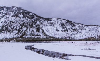 Karlı ve dağlı güzel bir manzara.