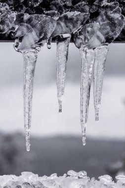 Kışın buz saçakları, doğa ve çevre