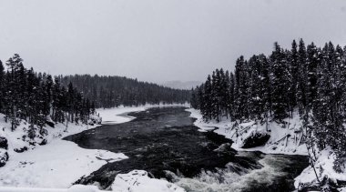 Karla kaplı ağaçlarla kaplı kış manzarası