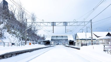 Japonya 'daki tren istasyonu.