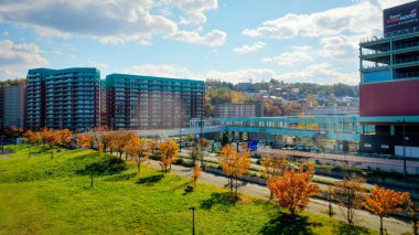 Parktaki modern binalar