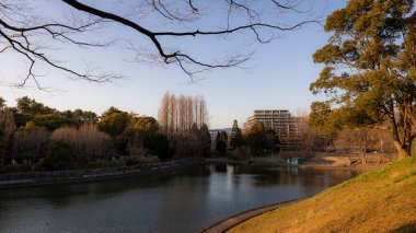 Parkın güzel manzarası