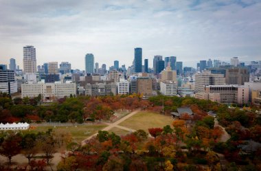 Tokyo sonbahar manzarası