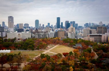 Tokyo ufuk çizgisinin havadan görünüşü, Japonya