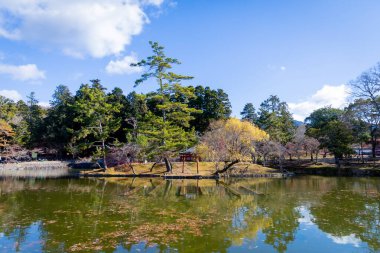 Parktaki göl manzarası