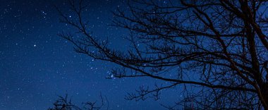 gece gökyüzünde yıldızlar