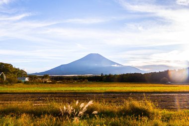 Fuji dağı yamyamashi, Japonya 'da