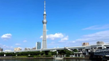 Tokyo ağacı ve Japonya 'daki kule