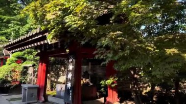 Arka planda yasak şehir