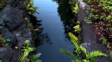 Parkın güzel manzarası