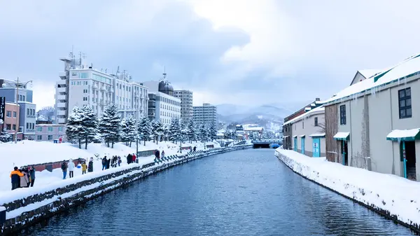Shirakoi nehrinin güzel kış manzarası kışın karla kaplı, Japonya