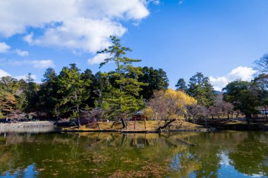 Kyoto, Japonya 'nın güzel sonbahar manzarası